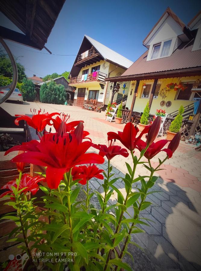 Agroturystyka Pod Kolami Myczkowce Exterior foto
